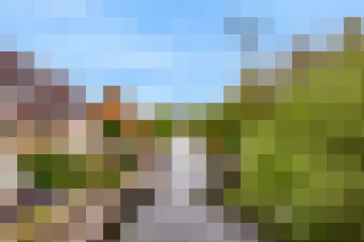 Driemasterwal 11 Leiden thumbnail 63