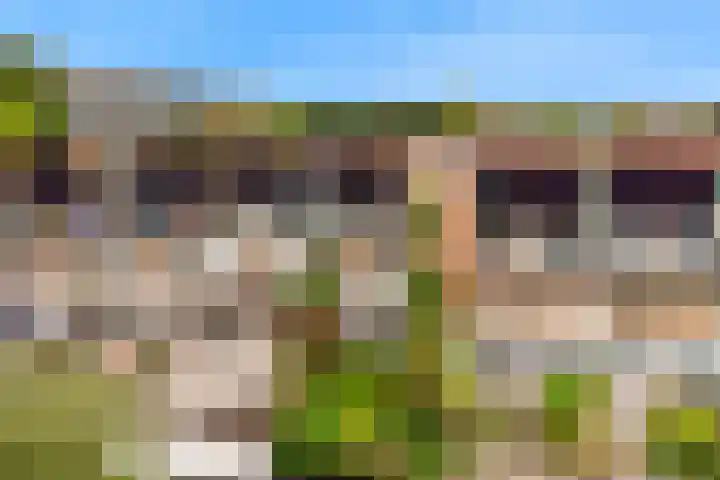 Driemasterwal 11 Leiden thumbnail 64