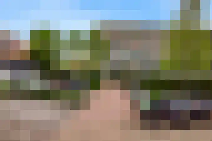 Driemasterwal 11 Leiden thumbnail 68