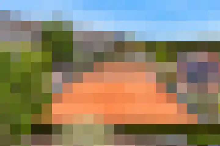 Driemasterwal 11 Leiden thumbnail 69