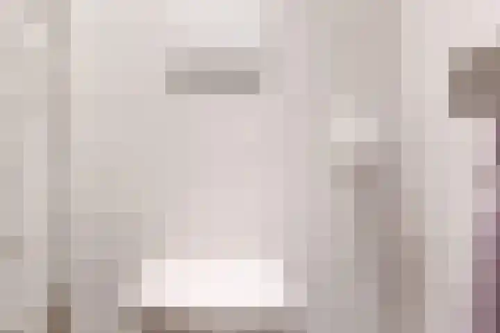 Driemasterwal 11 Leiden thumbnail 7