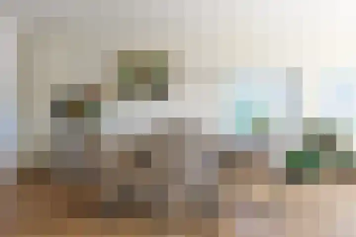 Driemasterwal 59 Leiden thumbnail 13