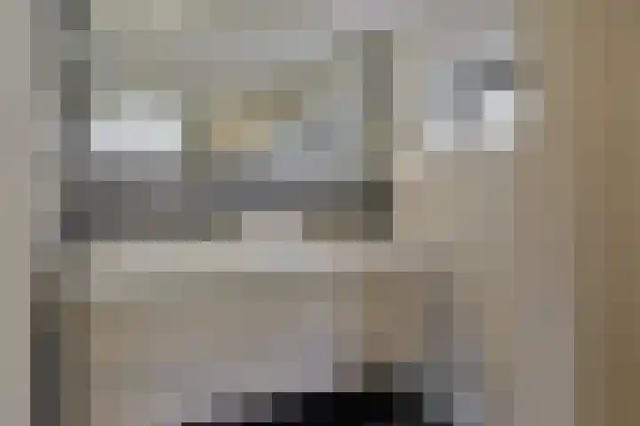 Driemasterwal 59 Leiden thumbnail 32