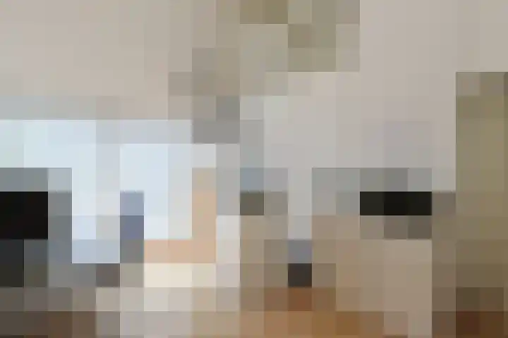 Driemasterwal 59 Leiden thumbnail 42