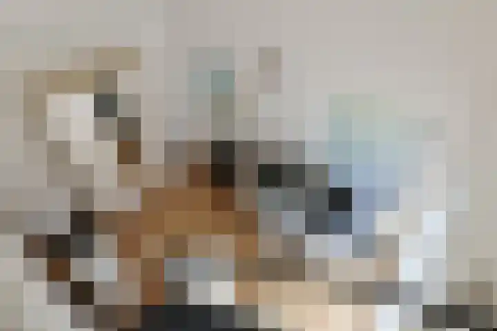 Driemasterwal 59 Leiden thumbnail 44