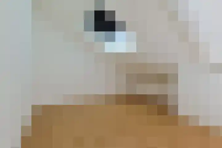 Driemasterwal 59 Leiden thumbnail 46