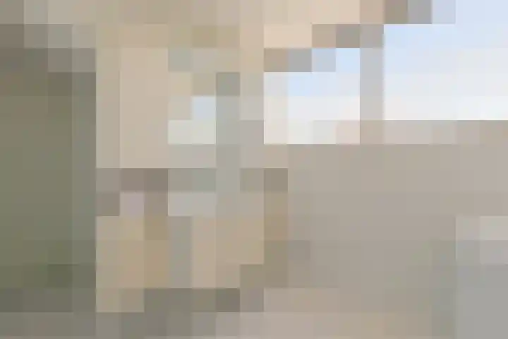 Driemasterwal 59 Leiden thumbnail 49