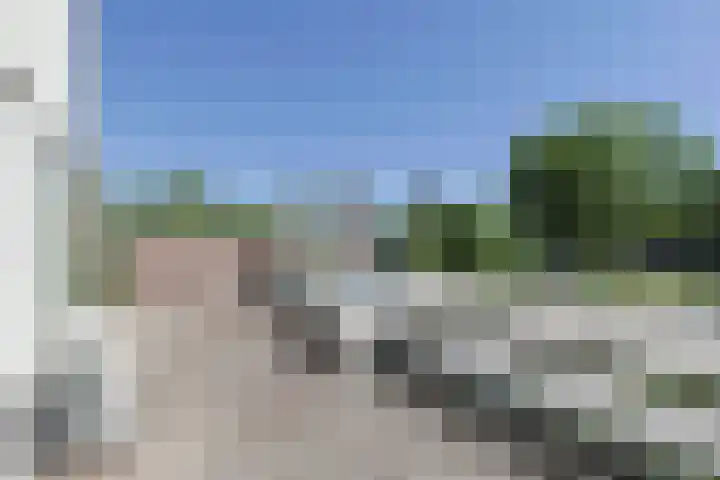 Driemasterwal 59 Leiden thumbnail 55