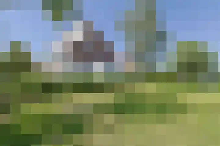 Driemasterwal 59 Leiden thumbnail 56