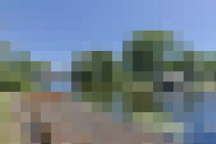 Driemasterwal 59 Leiden thumbnail 58