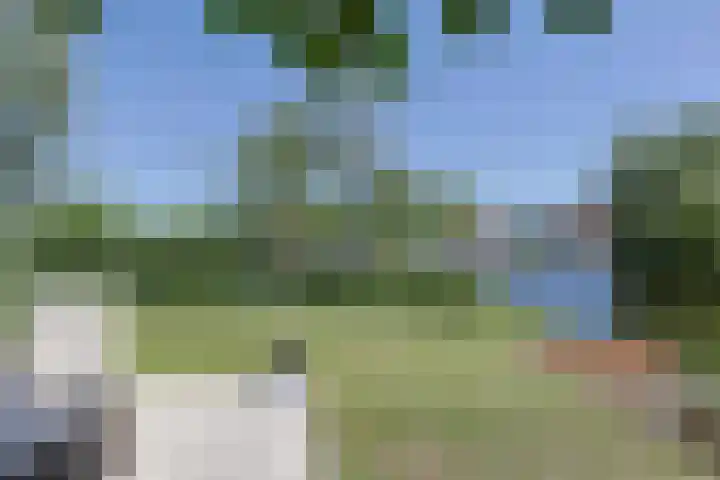 Driemasterwal 59 Leiden thumbnail 59