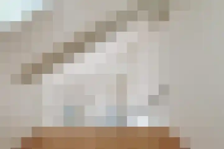 Driemasterwal 59 Leiden thumbnail 83