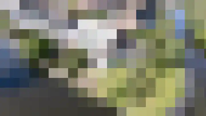 Driemasterwal 59 Leiden thumbnail 85