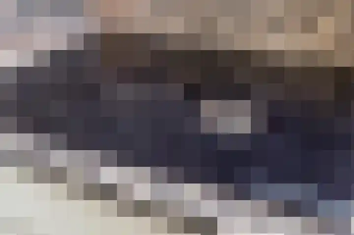 Driemorgen 25 Afferden thumbnail 22