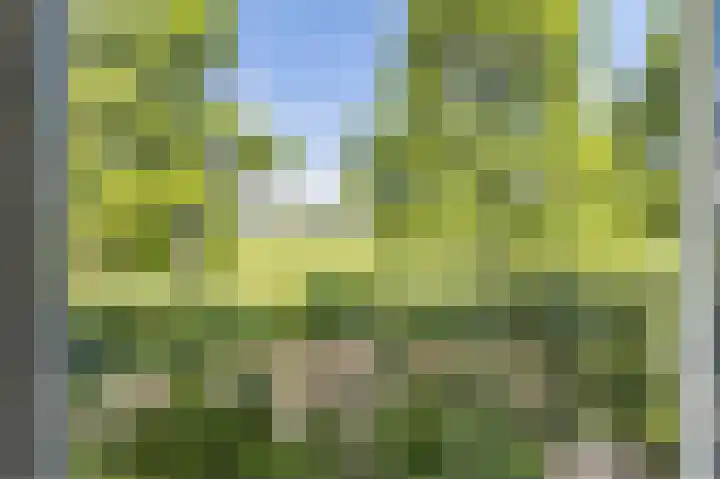 Driemorgen 25 Afferden thumbnail 45