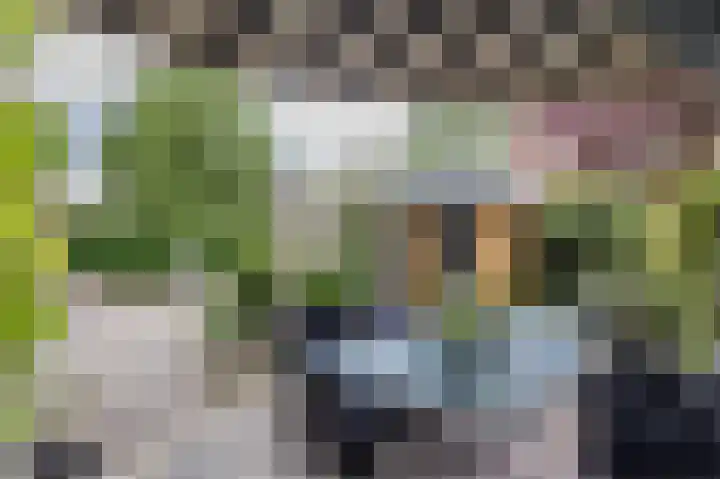 Driemorgen 25 Afferden thumbnail 58