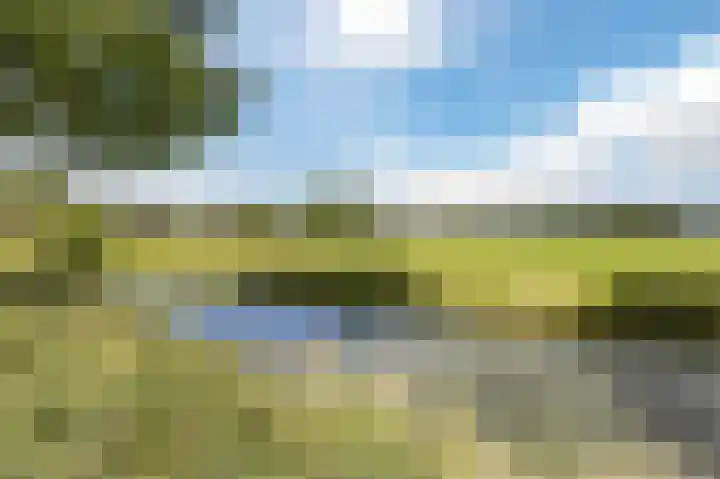 Driemorgen 25 Afferden thumbnail 66