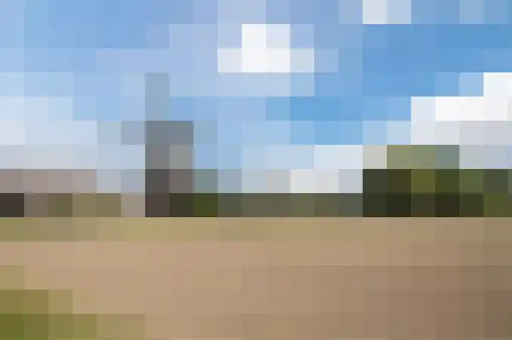 Driemorgen 25 Afferden thumbnail 68
