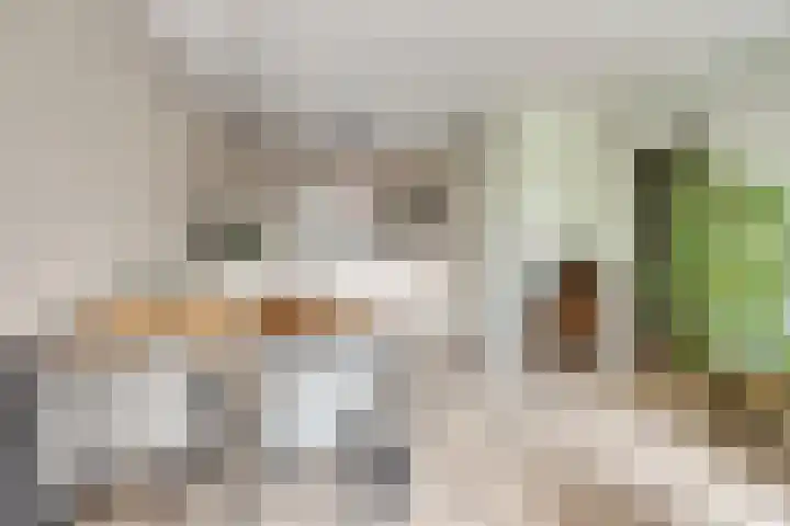 Drieoortsput 10 Heerlen thumbnail 12