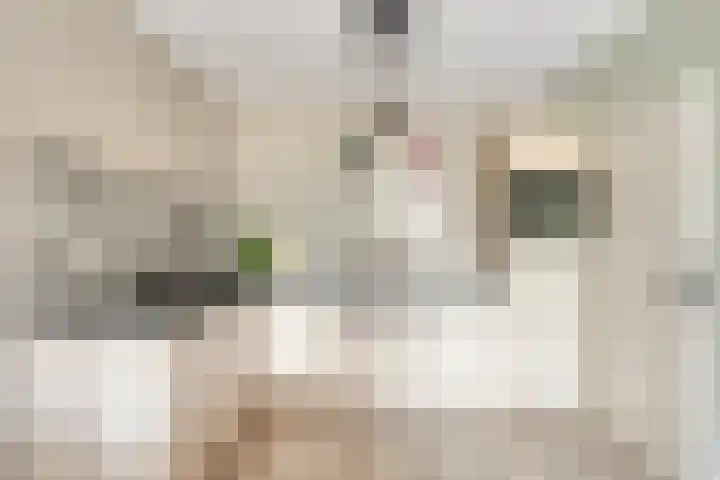 Drieoortsput 10 Heerlen thumbnail 13