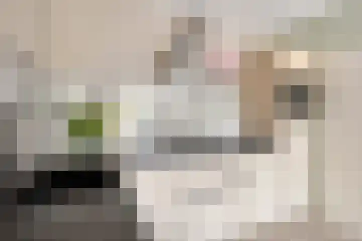 Drieoortsput 10 Heerlen thumbnail 14