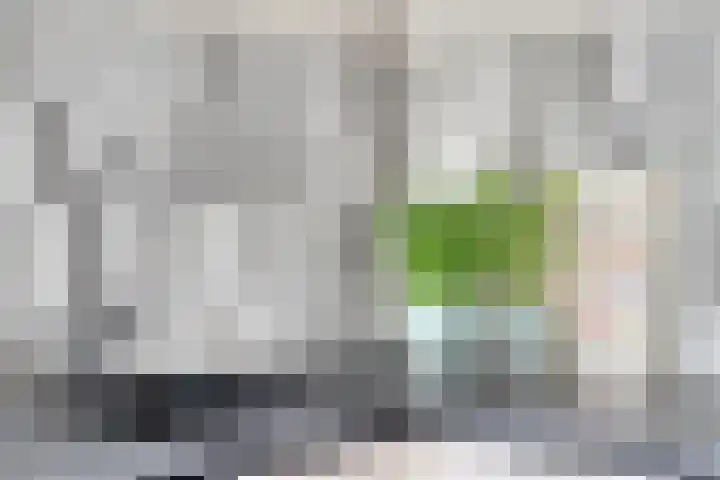 Drieoortsput 10 Heerlen thumbnail 15
