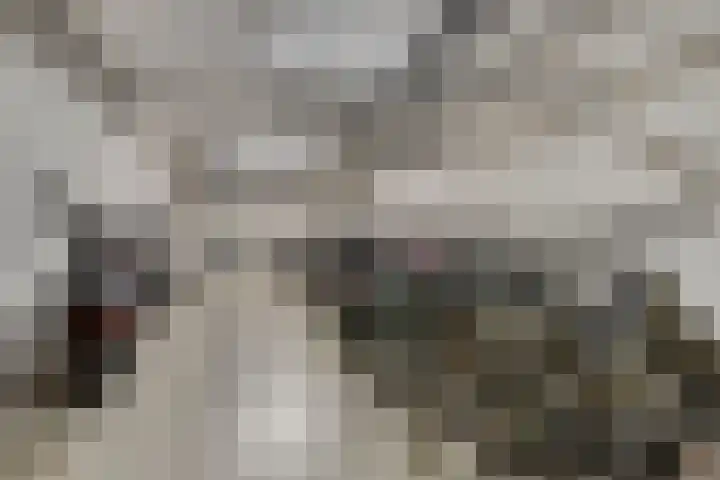 Drieoortsput 10 Heerlen thumbnail 22