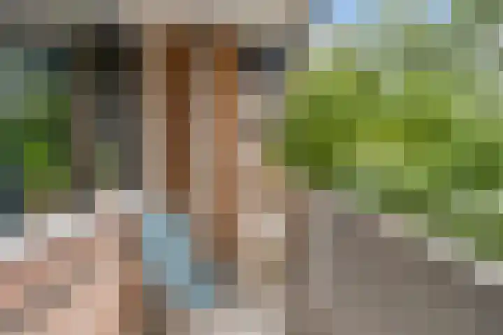 Drieoortsput 10 Heerlen thumbnail 23