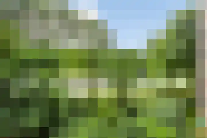 Drieoortsput 10 Heerlen thumbnail 25