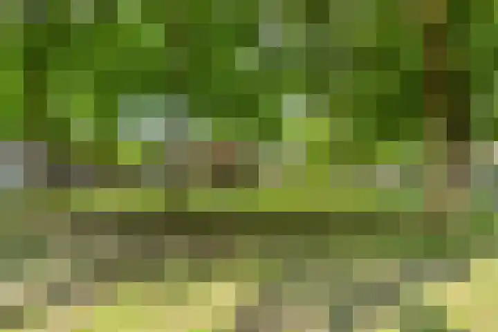Drieoortsput 10 Heerlen thumbnail 28