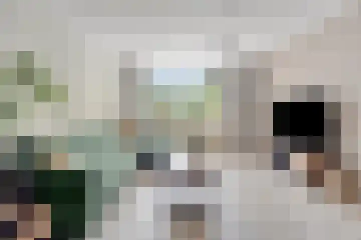 Drieoortsput 10 Heerlen thumbnail 9