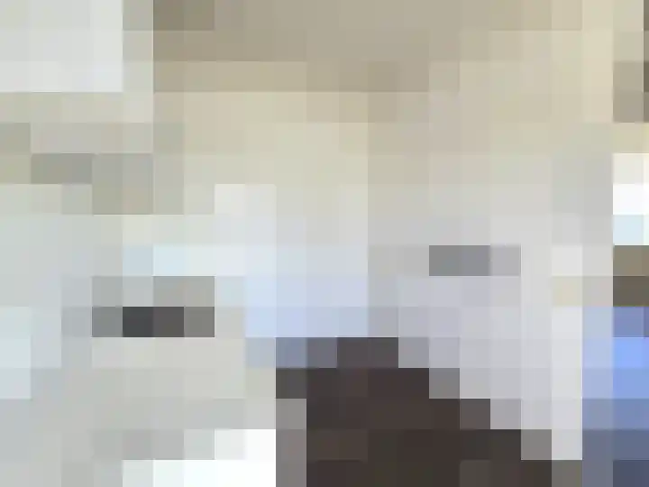 Drieoortsput 109 Heerlen thumbnail 19