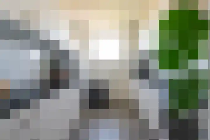 Drieoortsput 128 Heerlen thumbnail 10