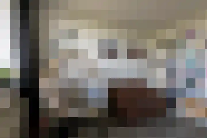Drieoortsput 128 Heerlen thumbnail 8