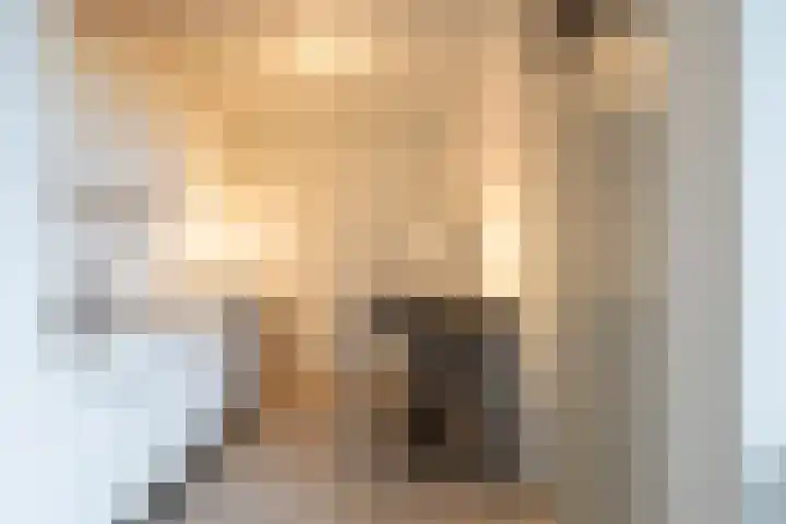 Drieoortsput 51 Heerlen thumbnail 9