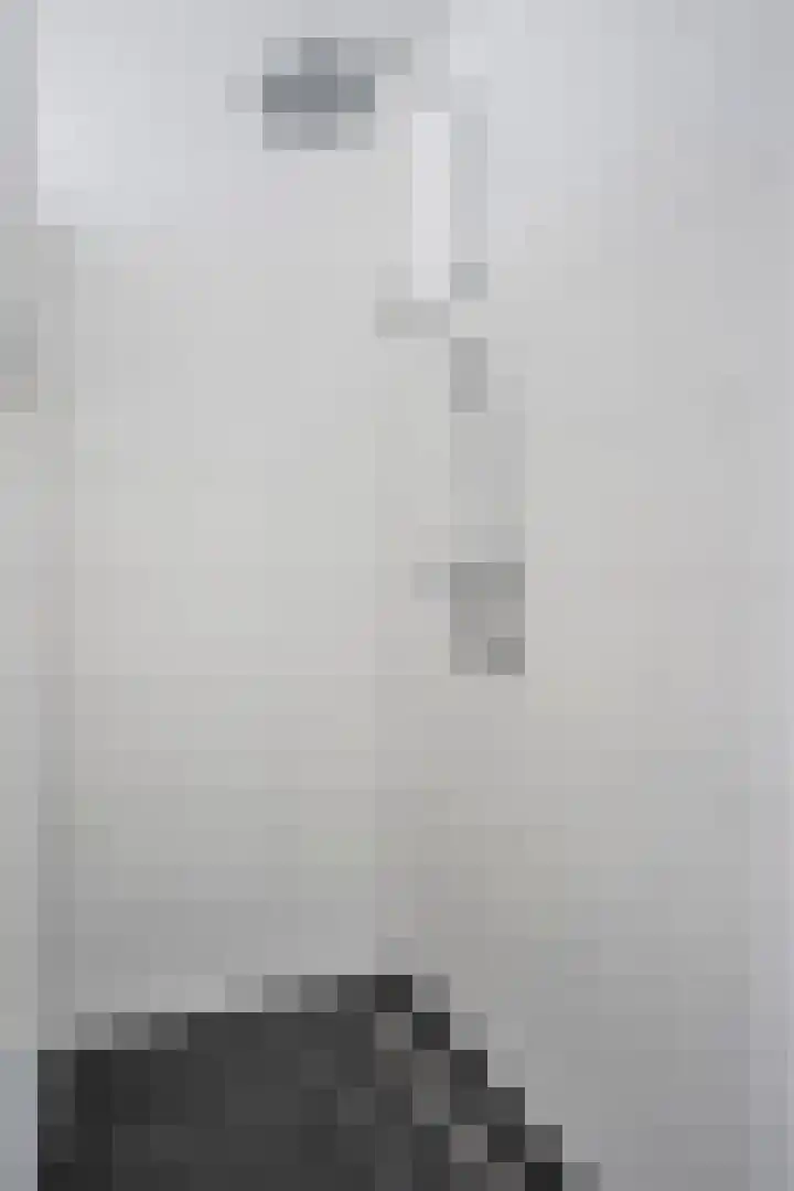 Dries 16 Herpen thumbnail 37