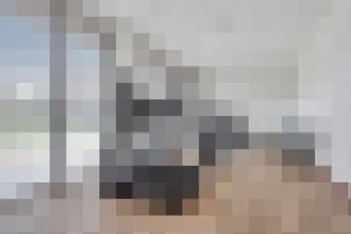 Dries 16 Herpen thumbnail 41