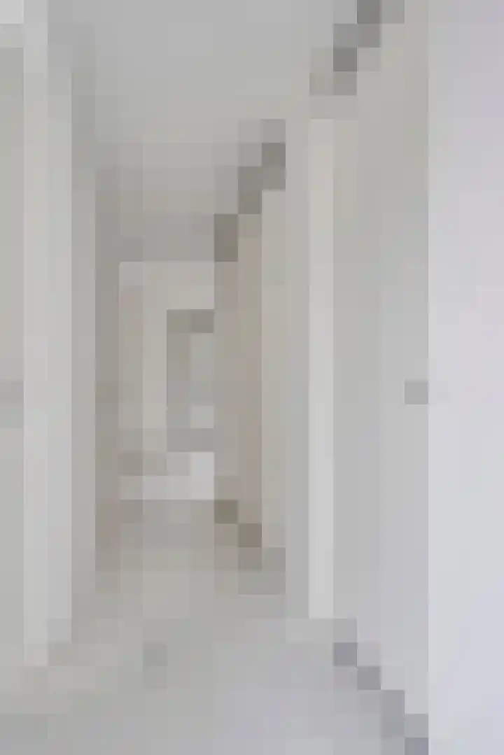 Dries 16 Herpen thumbnail 6