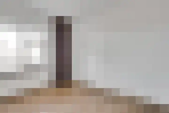 Dries 32 Weert thumbnail 12