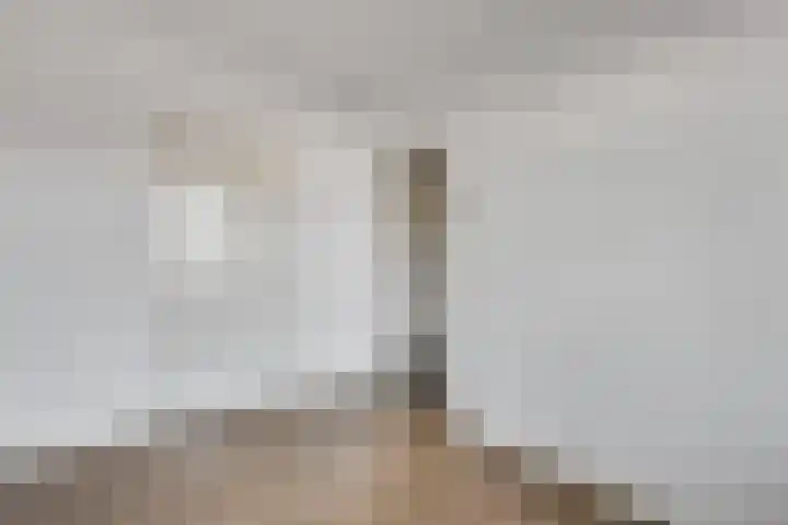 Dries 32 Weert thumbnail 13