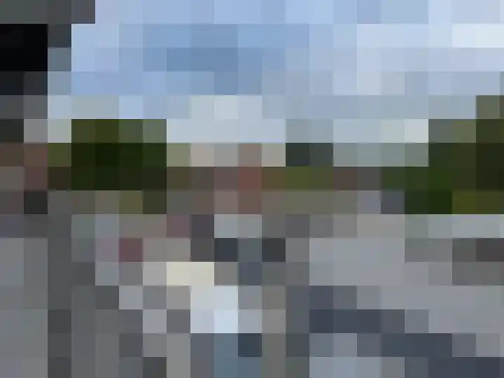 Dries 32 Weert thumbnail 18