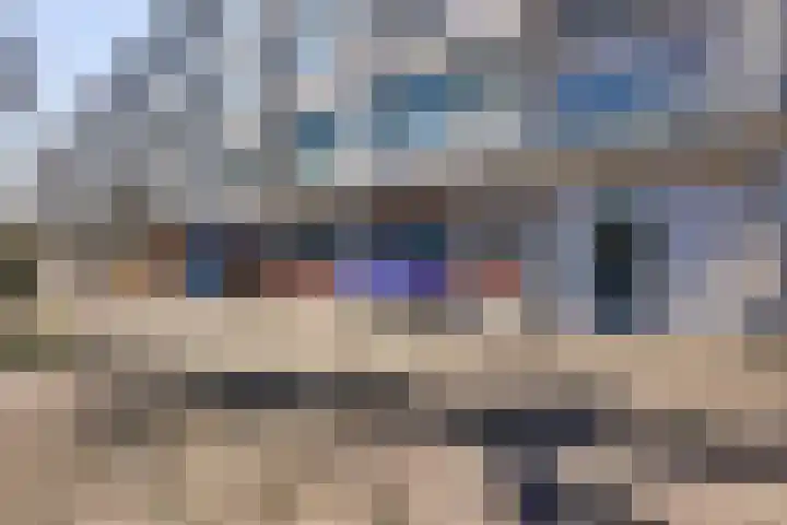 Dries 32 Weert thumbnail 20