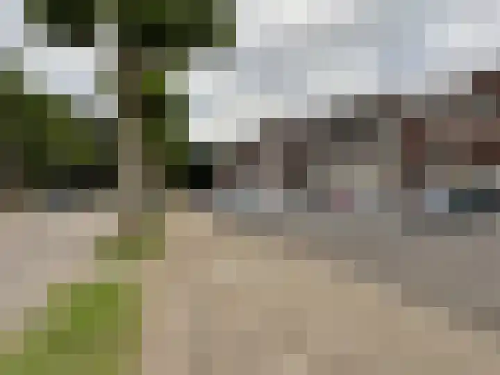 Dries 32 Weert thumbnail 25