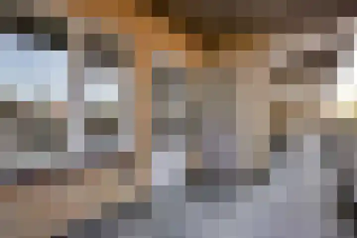 Dries 32 Weert thumbnail 4