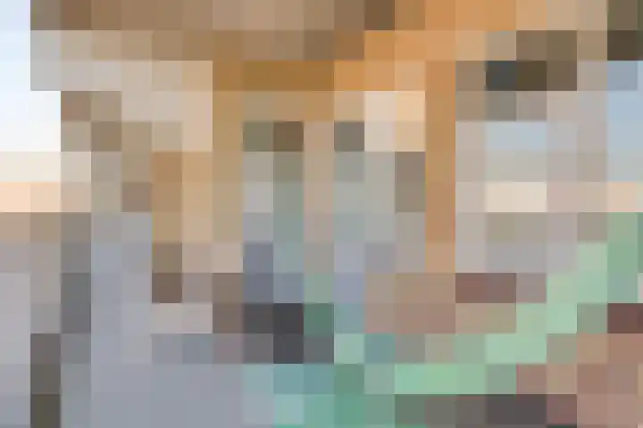 Dries 32 Weert thumbnail 5