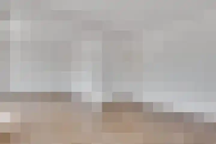 Dries 32 Weert thumbnail 6