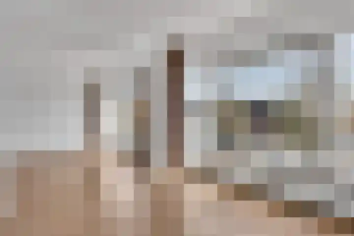 Dries 32 Weert thumbnail 7