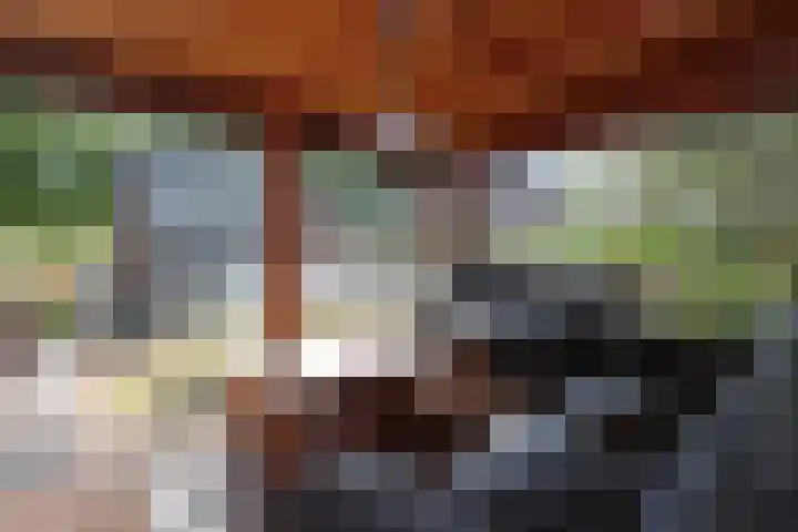 Dries 39 Groesbeek thumbnail 12