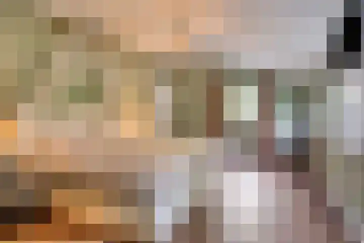Drieseegt 1 Erp thumbnail 20