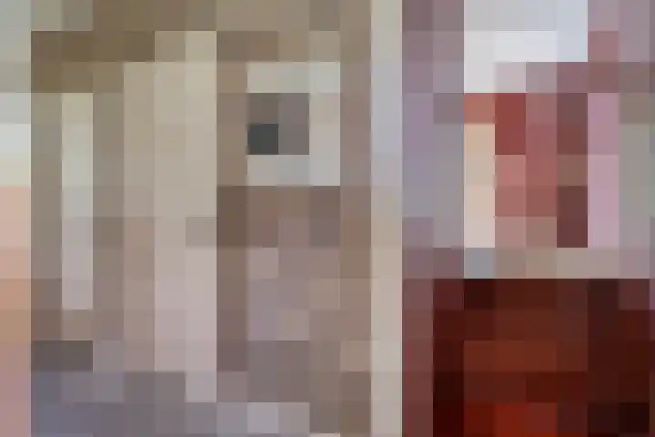 Drieseegt 1 Erp thumbnail 24